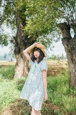 丁香花国语版高清